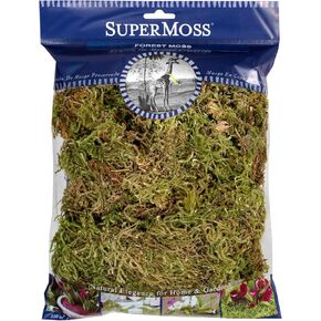 SuperMoss (21576) Dried Forest Moss Decorative Table Centerpiece Fairy Garden Potted Plant Decor, Natural Green, Appx. 4 oz