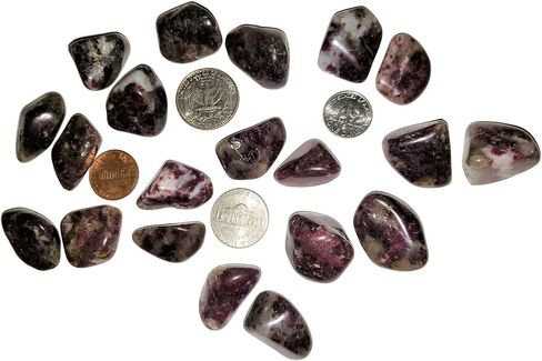 مجموعة قطعتين من أحجار كريمة كريستال روبي تورمالين متوسطة الحجم ومصقولة وشفاء طبيعي من مدغشقر in Kuwait