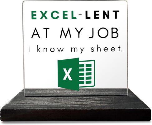 Excel Sheet Gift Spreadsheet Gifts Funny Accountant White Elephant Gifts for Women, Men, CPA, CFO, Coworkers, Boss, Colleague, Excel Desk Plaque Sign for Home Office Desk Cubicle Shelf GBA46 in Kuwait