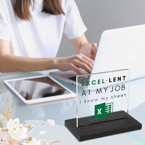 Excel Sheet Gift Spreadsheet Gifts Funny Accountant White Elephant Gifts for Women, Men, CPA, CFO, Coworkers, Boss, Colleague, Excel Desk Plaque Sign for Home Office Desk Cubicle Shelf GBA46 in Kuwait
