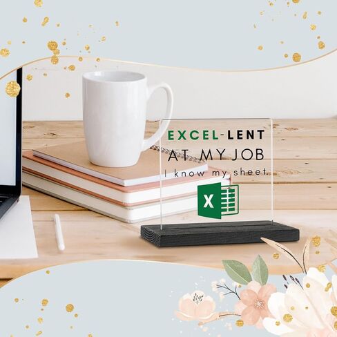 Excel Sheet Gift Spreadsheet Gifts Funny Accountant White Elephant Gifts for Women, Men, CPA, CFO, Coworkers, Boss, Colleague, Excel Desk Plaque Sign for Home Office Desk Cubicle Shelf GBA46 in Kuwait