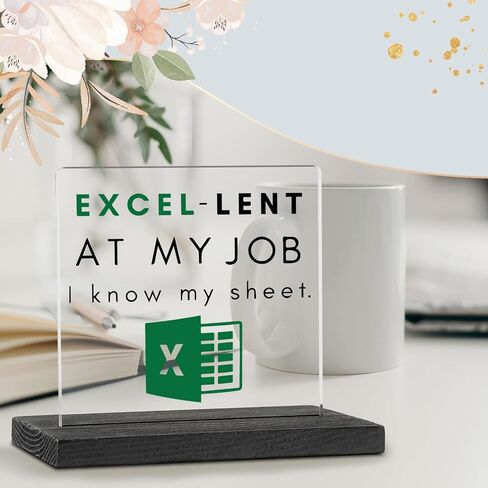 Excel Sheet Gift Spreadsheet Gifts Funny Accountant White Elephant Gifts for Women, Men, CPA, CFO, Coworkers, Boss, Colleague, Excel Desk Plaque Sign for Home Office Desk Cubicle Shelf GBA46 in Kuwait