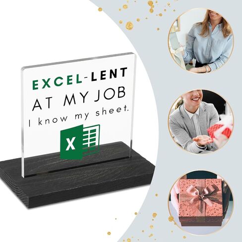 Excel Sheet Gift Spreadsheet Gifts Funny Accountant White Elephant Gifts for Women, Men, CPA, CFO, Coworkers, Boss, Colleague, Excel Desk Plaque Sign for Home Office Desk Cubicle Shelf GBA46 in Kuwait