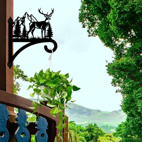 Iron Plant Hangers Hooks for Outdoor Indoor Hanging Plants Fern Pots, Lantern, Bird Feeder, Wind Chimes, 12"x14" Cat Weather Resistant Metal Wall Brackets Holder for Porch, Garden, Home(Cat) in Kuwait