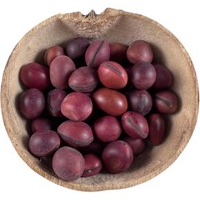 Semilla Roja Mate | Mate Rojo Semilla Santeria 3 por Orden | Semilla Roja de Santeria, Palo Mayombe, Ifa