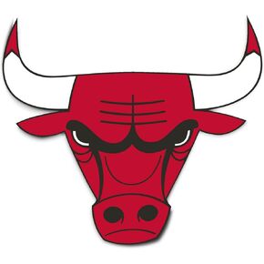 Desert Cactus Chicago Bulls NBA Officially Licensed Sticker Vinyl Decal Laptop Water Bottle Car Scrapbook (Individual 4)