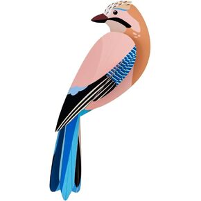 studio ROOF, Wall Art Birds, Jay, Eco-Friendly & Creative Gift