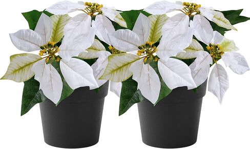 Mini Poinsettias Artificial Plants 2 Pack 9" Faux Small Christmas Flowers in Pot for Home Office Tabletop Indoor Christmas Decorations Pink Hot Red in Kuwait