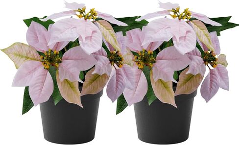 Mini Poinsettias Artificial Plants 2 Pack 9" Faux Small Christmas Flowers in Pot for Home Office Tabletop Indoor Christmas Decorations Pink Hot Red in Kuwait