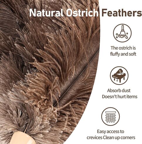 Ostrich Feather Duster 12 Inch Feather Duster Fluffy Natural Ostrich Feathers with Wooden Handle Ostrich Feather Duster for Cleaning Supplies(Natural) in Saudi Arabia