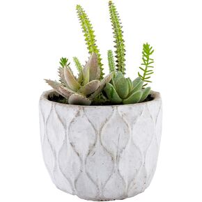 Restaurantware 6 x 4.5 Inch Faux Succulent 1 Realistic Artificial Succulent - In Cement Planter Use As Table Decor Shelf Décor Or Centerpiece Plastic Fake Desk Plant Mimics The Look Of Volcanic Rocks