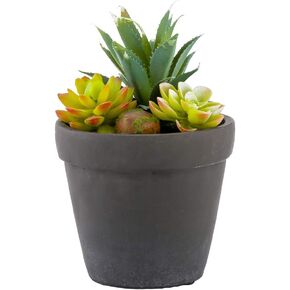 Restaurantware 6 x 4.5 Inch Faux Succulent 1 Realistic Artificial Succulent - In Cement Planter Use As Table Decor Shelf Décor Or Centerpiece Plastic Fake Desk Plant Mimics The Look Of Volcanic Rocks