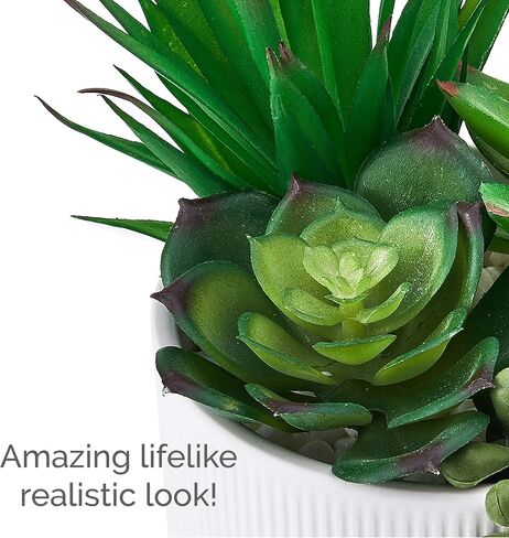 Elements Succulent in Embossed White Ceramic Pot for Bathroom Farmhouse Faux Greenery Tabletop Centerpiece Mantel Office Desk Kitchen Décor, 8 inch in Saudi Arabia