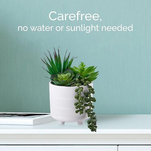 Elements Succulent in Embossed White Ceramic Pot for Bathroom Farmhouse Faux Greenery Tabletop Centerpiece Mantel Office Desk Kitchen Décor, 8 inch in Saudi Arabia