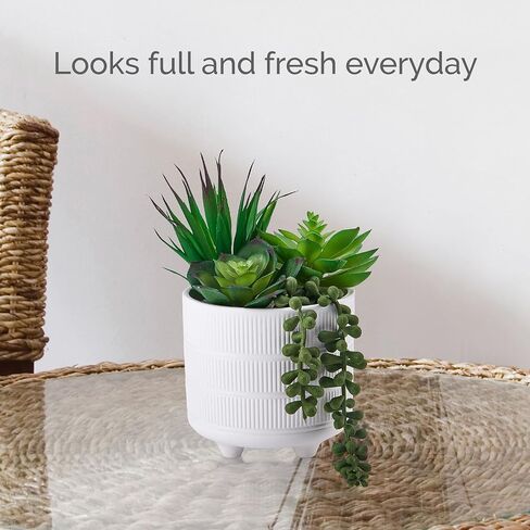 Elements Succulent in Embossed White Ceramic Pot for Bathroom Farmhouse Faux Greenery Tabletop Centerpiece Mantel Office Desk Kitchen Décor, 8 inch in Saudi Arabia