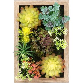 3D Artificial Succulent Floral Framed Faux Succulents Desk Plants for Table and Hanging Wall Decor for Room Decoration Background Living Outdoor(11x15 inch)