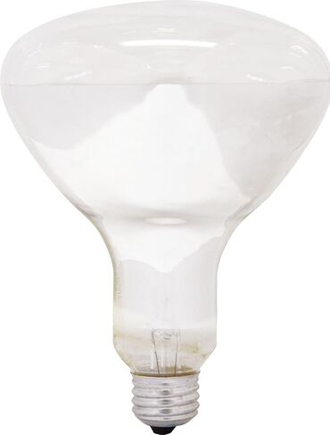 GE Lighting Soft White 14016 65-Watt 580-Lumen BR40 Flood Light Bulb, 1-Pack, 1 Count (Pack of 1) in Saudi Arabia