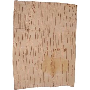 Bhojpatra 12 PCS Betula Birch Betula Bark Bhojpatra Sheets Writing Sacred Mantras(Size= 4 x 5 inch approx) size=small, medium, Natural, Bhavi-1