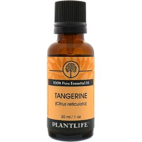 Plantlife Peppermint Aromatherapy Essential Oil - Straight from The Plant 100% Pure Therapeutic Grade - No Additives or Fillers - 30 ml
