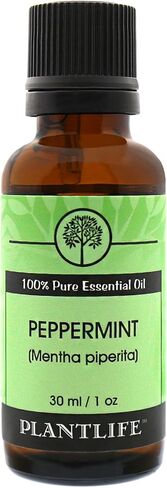 زيت النعناع العطري للعلاج العطري من بلانت لايف - مباشرة من النبات بدرجة علاجية نقية 100% - بدون إضافات أو مواد مالئة - 30 مل in Kuwait