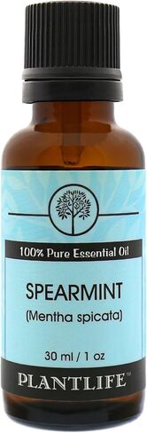 زيت النعناع العطري للعلاج العطري من بلانت لايف - مباشرة من النبات بدرجة علاجية نقية 100% - بدون إضافات أو مواد مالئة - 30 مل in Kuwait