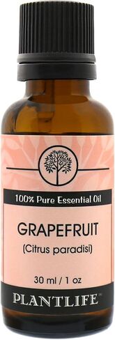 زيت النعناع العطري للعلاج العطري من بلانت لايف - مباشرة من النبات بدرجة علاجية نقية 100% - بدون إضافات أو مواد مالئة - 30 مل in Kuwait