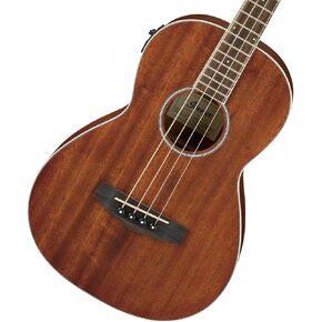 Ibanez PNB14EOPN Parlor Body Acoustic Electric Bass Open Pore Natural