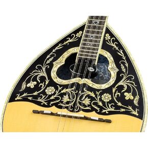 KNA Pickups Bouzouki Soundhole, 8-String Active Humbucker Pickup, Black (BZ-1A)