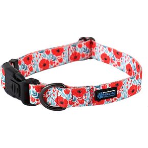 Max and Neo Patterned NEO Dog Collar - We Donate a Collar to a Dog Rescue for Every Collar Sold (Medium, Dinosaurs)