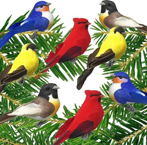 زخارف BANBERRY DESIGNS Song Bird Clip-On - مجموعة من 8 - طيور صناعية متنوعة ذات أجسام متجمعة وأجنحة ريش وذيل - كاردينال بلوبيرد روبن جولدفينش كل منها بطول 10.16 سم طول in Kuwait