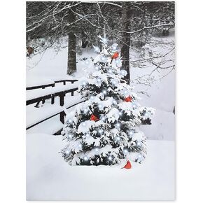 BANBERRY DESIGNS Light up Cardinals on Snow Covered Tree Canvas Wall Art - Winter Snowy Scene and Red Cardinals in the Snow - Lighted LED Christmas Print with 40 Fiber Optic Lights - 16" x 12" x 3/4"
