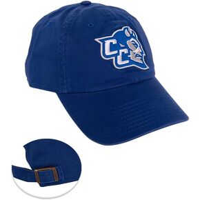 Desert Cactus Central Connecticut State University Baseball Hat CCSU Blue Devils Brimmed Embroirderd Hats Cap Adjustable Cloth Strap Adult (Style D)