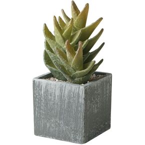 Artificial Cacuts Plants in Pots,Mini Realistic Cacuts Succulents for Bathroom Home Office Living Room Table Decor Indoor Outdoor