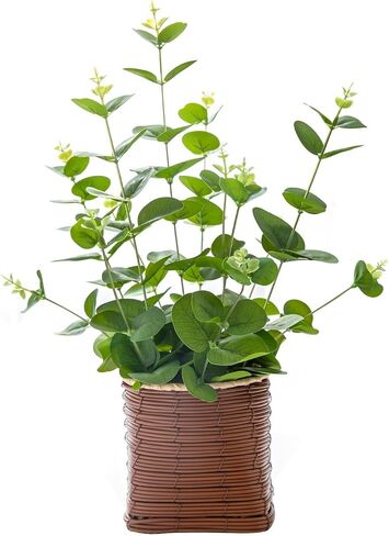 Small Fake Plants 16 Inch Eucalyptus Stems Artificial Plant in Offwhite Leather Woven Planter with Polished River Rocks Evergreen Faux Plant Indoor for Home Bathroom Kitchen Decor in Saudi Arabia