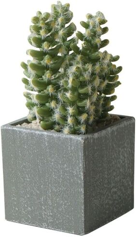 Artificial Cacuts Plants in Pots,Mini Realistic Cacuts Succulents for Bathroom Home Office Living Room Table Decor Indoor Outdoor in Saudi Arabia