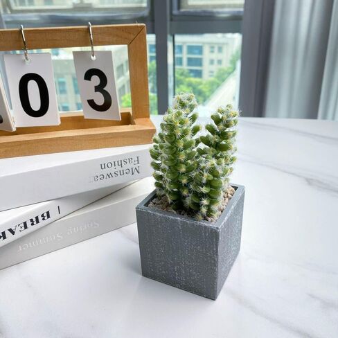 Artificial Cacuts Plants in Pots,Mini Realistic Cacuts Succulents for Bathroom Home Office Living Room Table Decor Indoor Outdoor in Saudi Arabia