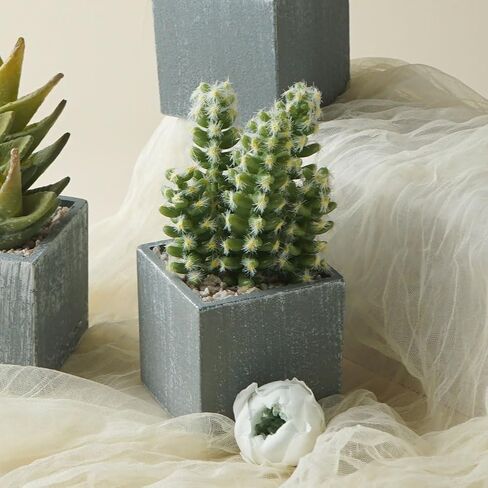 Artificial Cacuts Plants in Pots,Mini Realistic Cacuts Succulents for Bathroom Home Office Living Room Table Decor Indoor Outdoor in Saudi Arabia