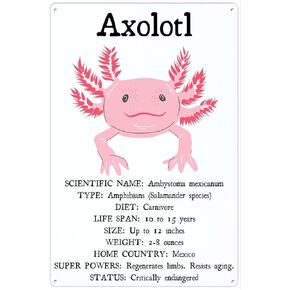 Retro Metal Tin Sign 8 X 12 Inches Axolotl Facts Print Educational Classroom Poster Nature Wall Decor Salamander Aquatic Species Chart Science Stem Digital Print Rustic Home Decor Funny Room Decor
