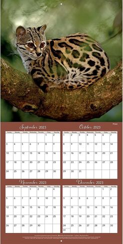 TURNER PHOTOGRAPHIC Costa Rica 12x12 Photo Wall Calendar (25998940064) in Saudi Arabia