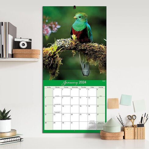 TURNER PHOTOGRAPHIC Costa Rica 12x12 Photo Wall Calendar (25998940064) in Saudi Arabia