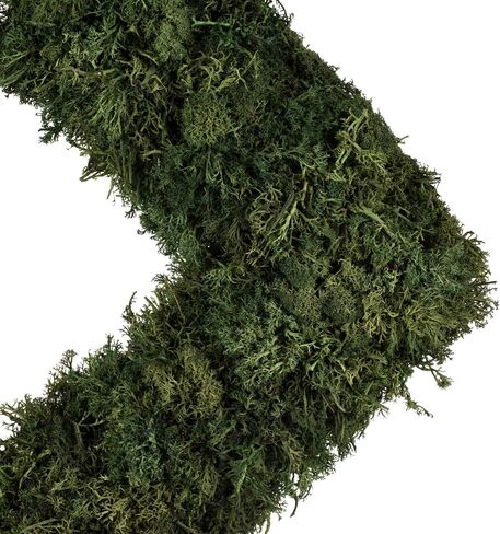 Vickerman Everyday 15.5" Artificial Reindeer Moss Square Wreath - Faux Indoor Greenery Wreath - for Home Or Office Decor in Saudi Arabia