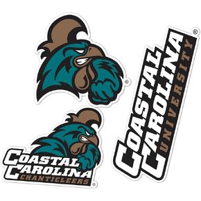 Desert Cactus Coastal Carolina University Stickers Chanticleers CCU Vinyl Decals Laptop Water Bottle Car Scrapbook T5 (Type 5-1)