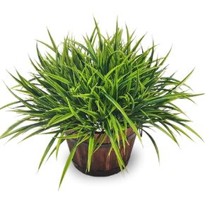 12 Bundles Artificial Outdoor Plants UV Resistant Fake Grass Plants Faux Plastic Plants Greenery Shrubs for Home Garden Pathway Window Box Front Porch Spring Summer Decor, Green