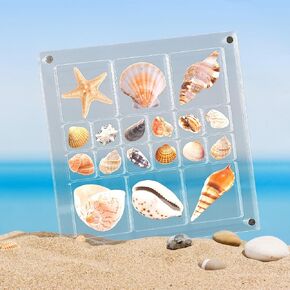 Seashell Display Box, 5.6x5.6x0.6in Large Size Acrylic Magnetic Seashell Display Case, 18 Grids Mini Seashell Collection Display Box