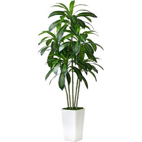 Artificial Dracaena Tree Artificial Silk Tree Faux Tree with White Tall Planter Fake Tropical Yucca Floor Plant (1, White Tall Planter, 5 FT)