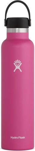 Hydro Flask 24 Oz Standard Mouth Flex Straw Cap in Saudi Arabia