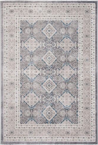 SAFAVIEH Sofia Collection 2'2" x 14' Light Grey/Beige SOF366B Vintage Oriental Distressed Non-Shedding Living Room Bedroom Runner Rug in Saudi Arabia