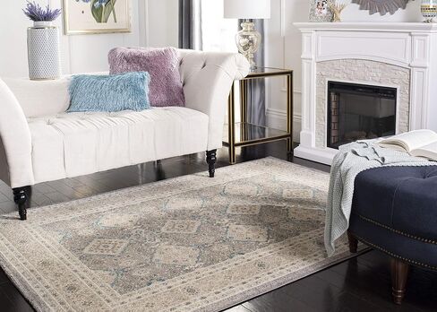 SAFAVIEH Sofia Collection 2'2" x 14' Light Grey/Beige SOF366B Vintage Oriental Distressed Non-Shedding Living Room Bedroom Runner Rug in Saudi Arabia