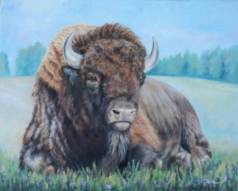 American Bison/Buffalo مستلقيًا - طباعة فنية جدارية محدودة موقعة يدويًا من Giclee in Saudi Arabia