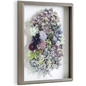 Kate and Laurel Blake Colony Succulent Framed Printed Photograph on Glass by F2 Images, 16x20 Gray, Vibrant Botanical Wall Décor